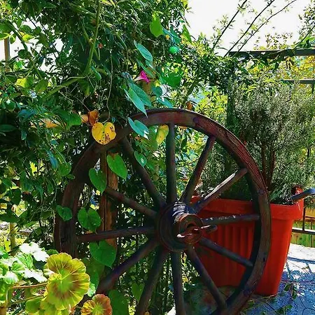 Farm stay Costamagna