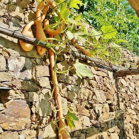 Farm stay Costamagna Noli