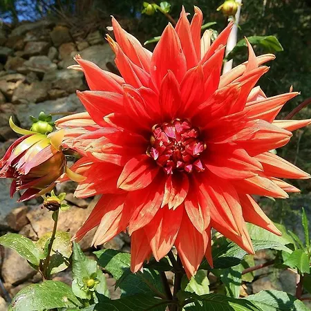 Costamagna Gospodarstwo agroturystyczne