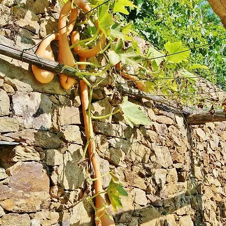 Alloggio per agriturismo Costamagna Noli