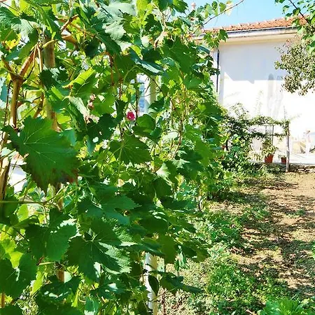 Farmház Costamagna *