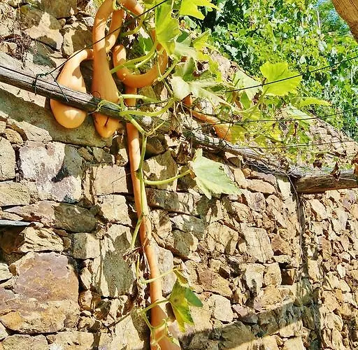 Agroturismo Costamagna Noli