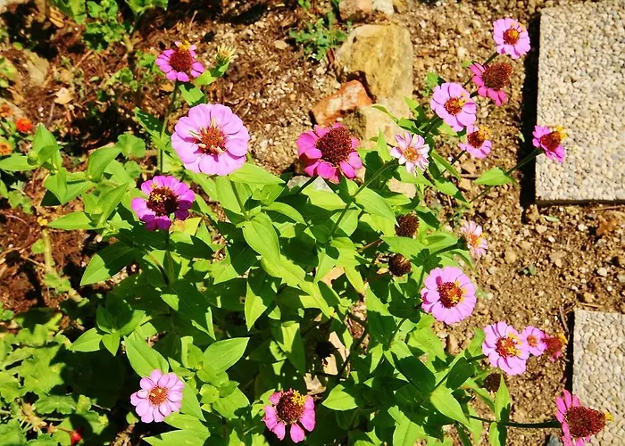 Costamagna Agroturismo Noli