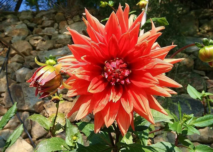 Costamagna Agroturismo