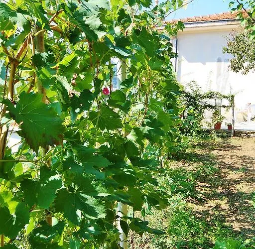 Gospodarstwo agroturystyczne Costamagna *